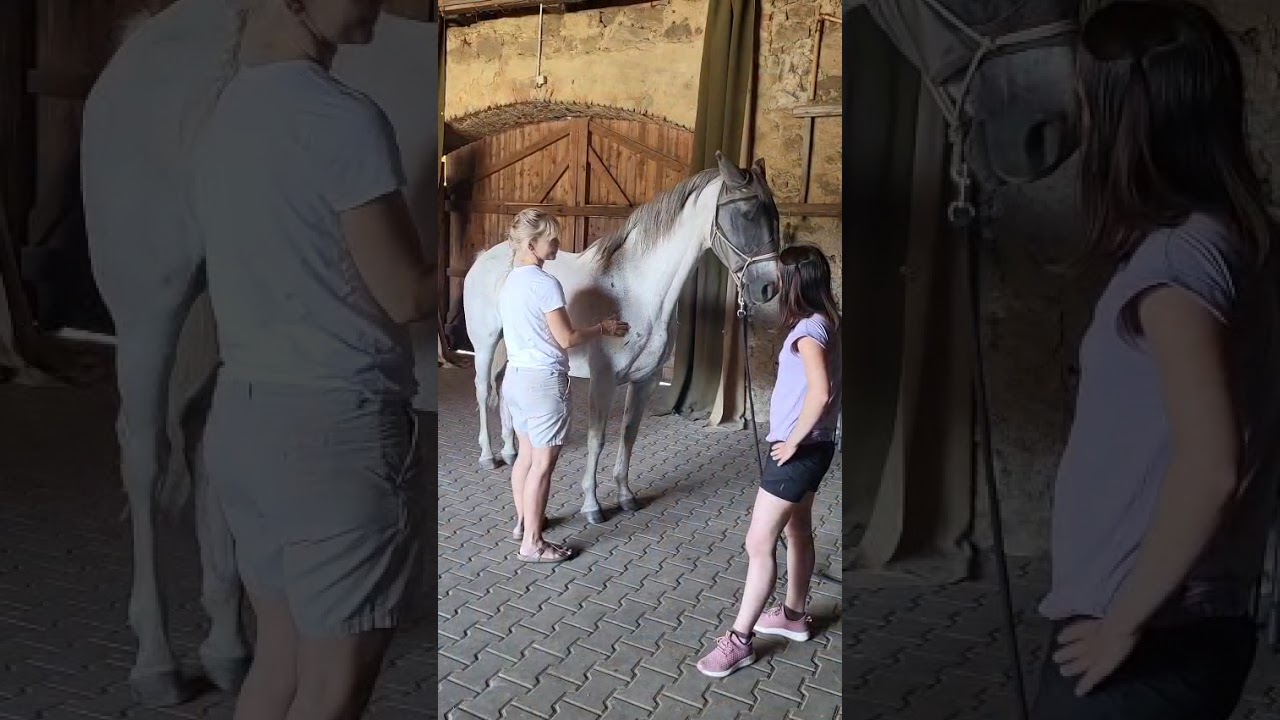 Ukázka z kurzu Vědomý dotyk a dýchání u koní