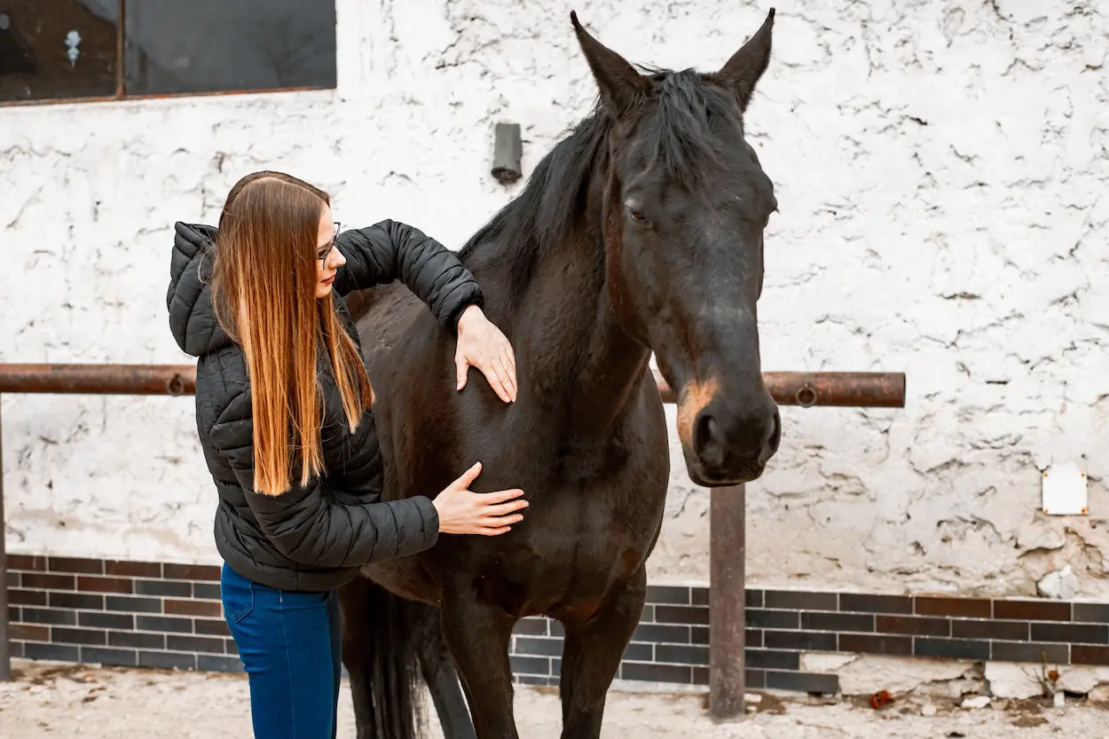 Equinology