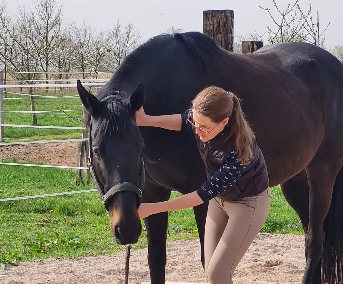 Lazaris Nerve Release™