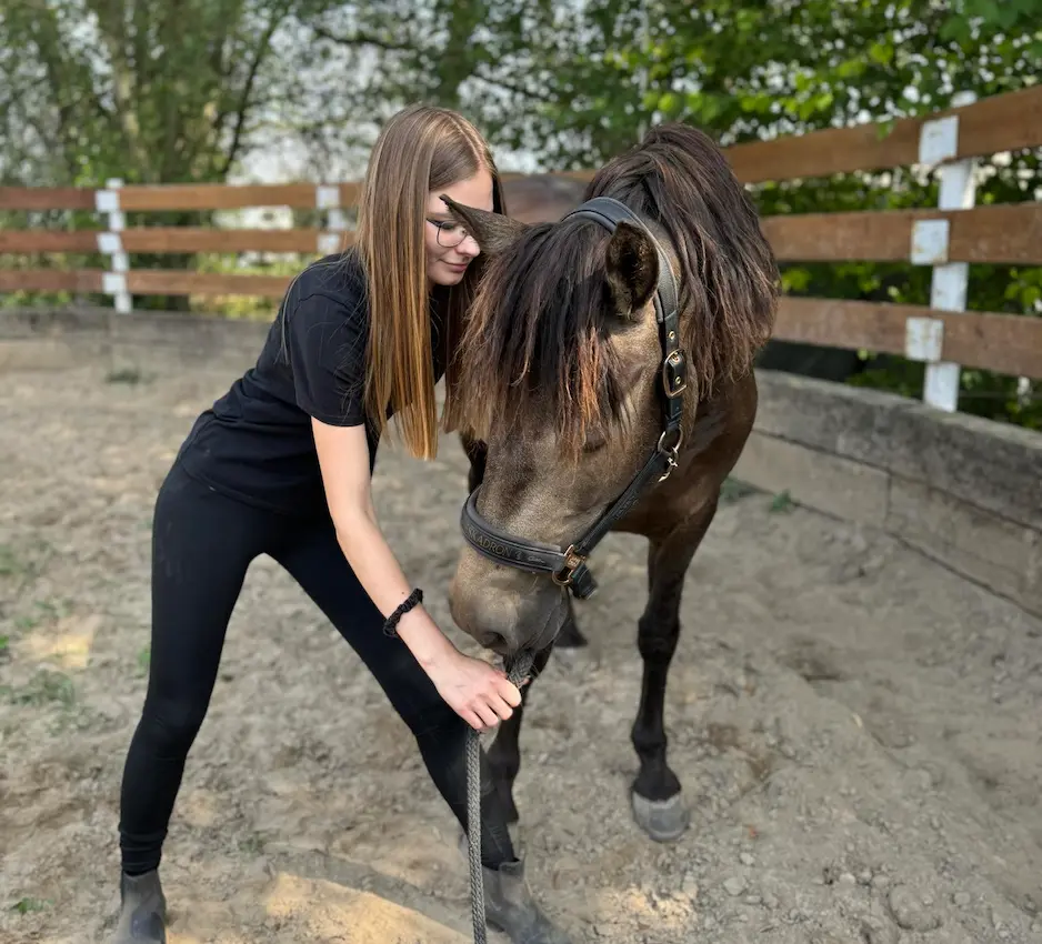 Nuerokinetická terapie balancedhorse