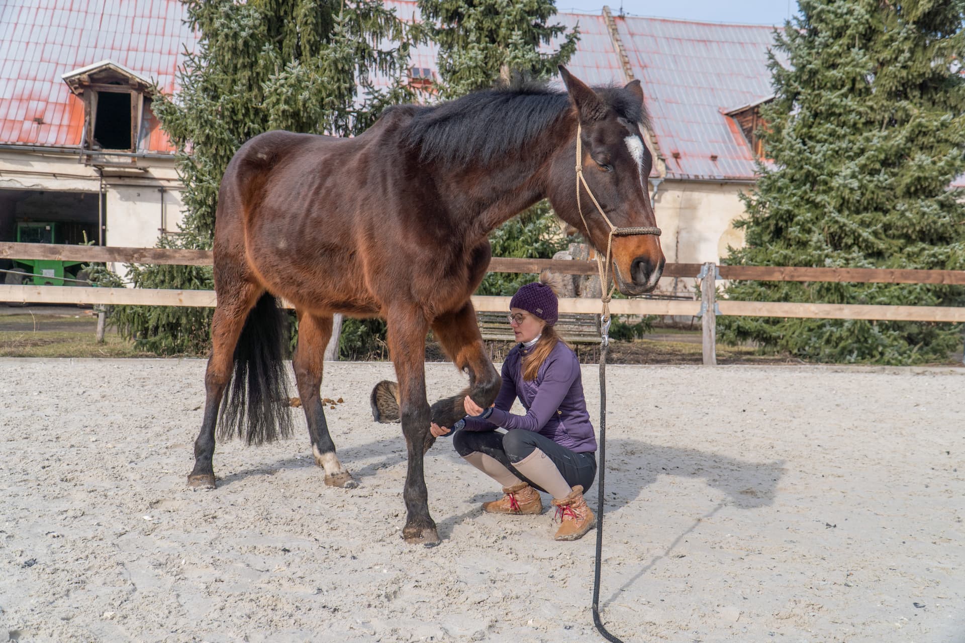 Romana Pourová při bodyworku koní