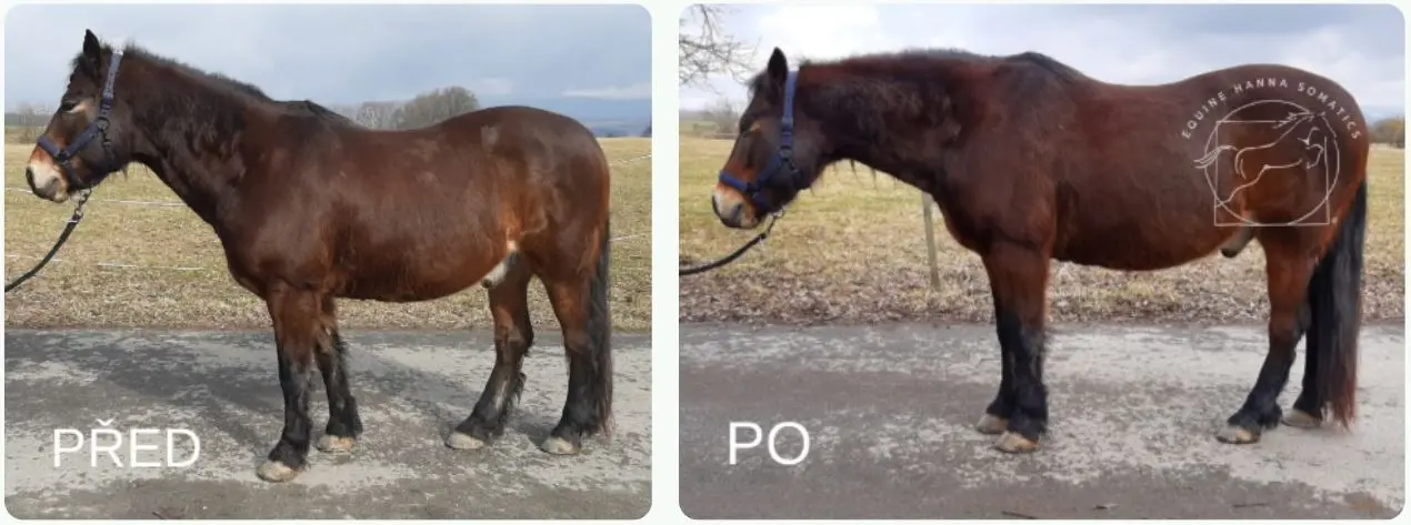 Svalová relaxace_náhled