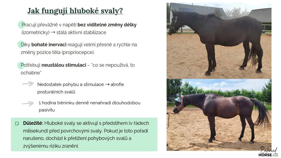 Ukazka z kurzu 3