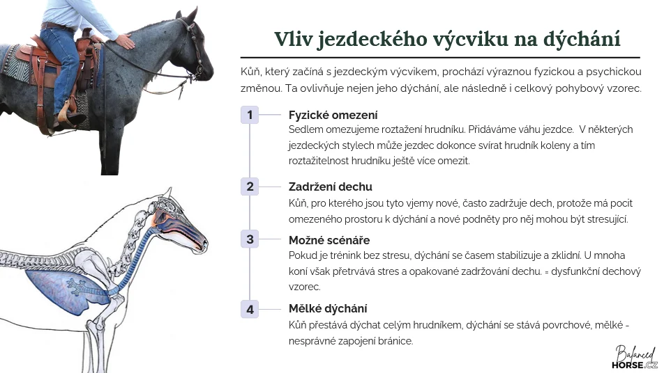 Ukazka z kurzu 5