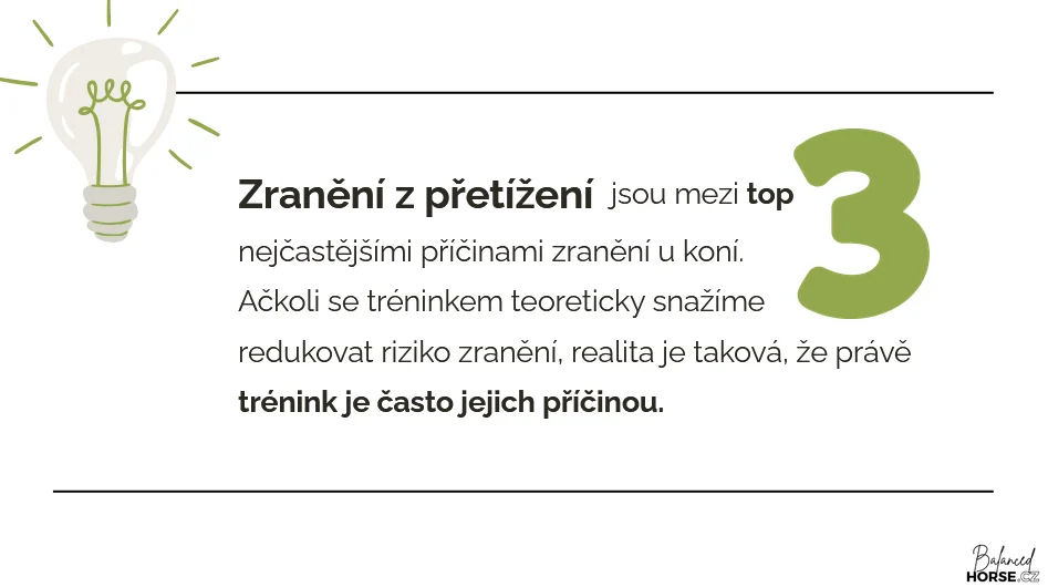 Ukazka z kurzu 7