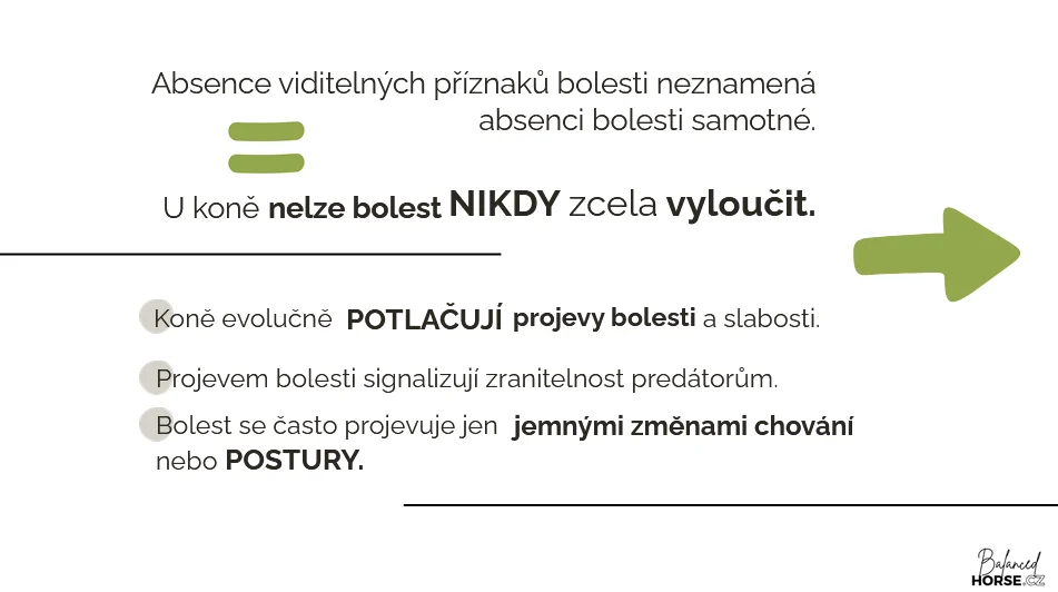 Ukazka z kurzu 8