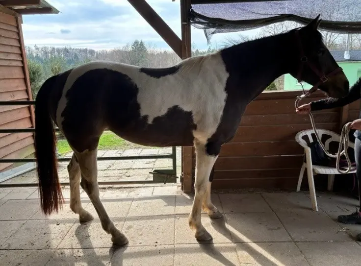 Meggy před terapií